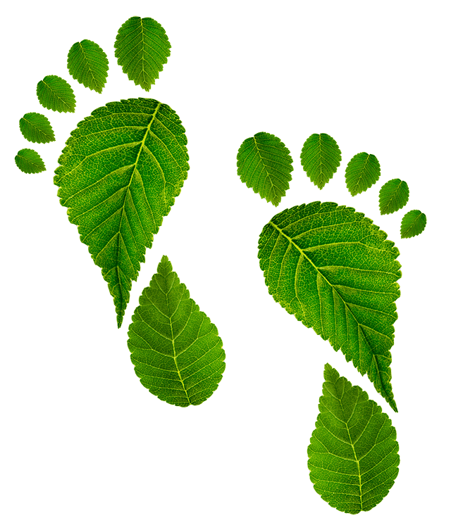 ekologinen-jalanjalki